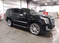 2016 Cadillac Escalade Luxury Collection