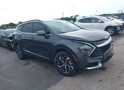 2024 KIA Sportage Hybrid EX