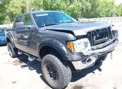 2010 Ford F-150 FX4/Harley-Davidson/King Ranch/Lariat/Platinum/XL/XLT