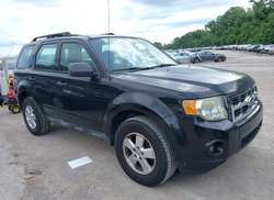 2011 Ford Escape XLS