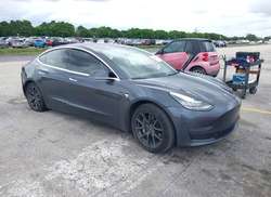 2020 Tesla Model 3 Standard Range Plus Rear-Wheel Drive/Standard Range Rear-Wheel Drive