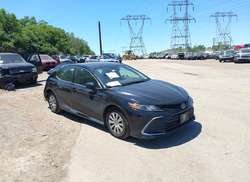 2021 Toyota Camry LE Hybrid