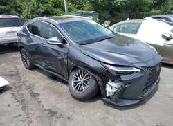 2025 Lexus NX 250 Premium