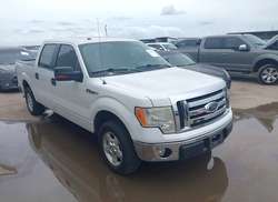 2010 Ford F-150 FX2 Sport/XL/XLT