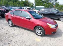 2010 Ford Focus SE