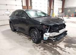 2025 Lexus NX 350H Premium
