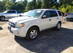 2012 Ford Escape XLT — 2