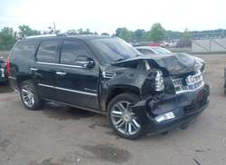 2013 Cadillac Escalade Platinum Edition