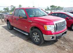 2012 Ford F-150 XLT