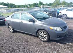 2010 Toyota Corolla LE