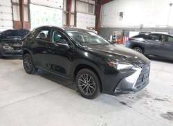 2025 Lexus NX 350  