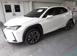 2020 Lexus UX 200   — 2
