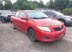 2010 Toyota Corolla LE