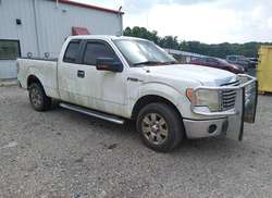 2010 Ford F-150 FX2 Sport/Lariat/XL/XLT