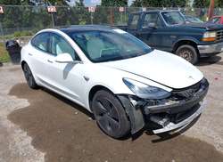2020 Tesla Model 3 Standard Range Plus Rear-Wheel Drive/Standard Range Rear-Wheel Drive