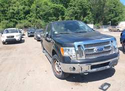 2010 Ford F-150 FX4/Harley-Davidson/King Ranch/Lariat/Platinum/XL/XLT