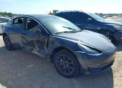 2019 Tesla Model 3 Long Range/MID Range/Standard Range/Standard Range Plus
