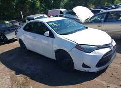 2019 Toyota Corolla L/LE/XLE/SE/XSE