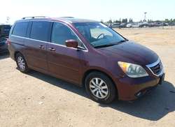 2010 Honda Odyssey EX-L