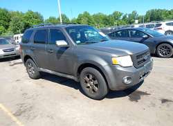 2011 Ford Escape Limited