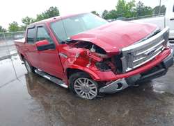 2010 Ford F-150 FX4/Harley-Davidson/King Ranch/Lariat/Platinum/XL/XLT