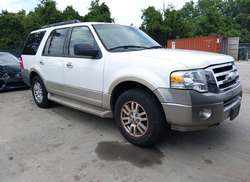 2010 Ford Expedition Eddie Bauer/King Ranch