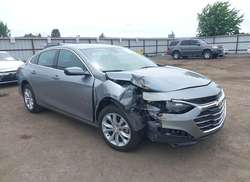 2025 Chevrolet Malibu FWD 1LT