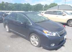 2010 Lexus HS 250H  