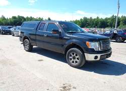 2011 Ford F-150 FX4/Lariat/STX/XL/XLT