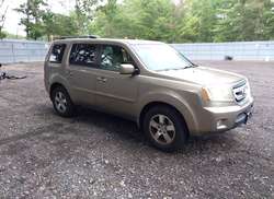 2010 Honda Pilot EX-L