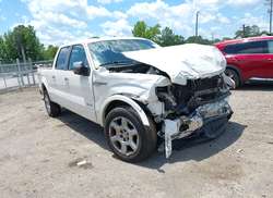 2013 Ford F-150 FX4/King Ranch/Lariat/Limited/Platinum/XL/XLT