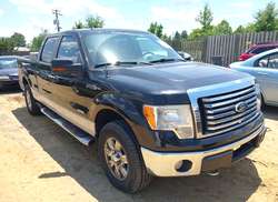 2012 Ford F-150 FX4/King Ranch/Lariat/Platinum/XL/XLT
