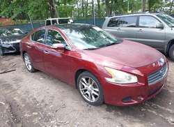 2011 Nissan Maxima 3.5 SV