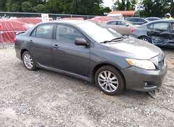 2010 Toyota Corolla S