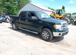 2013 Ford F-150 FX4/King Ranch/Lariat/Platinum/XL/XLT