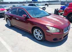 2012 Nissan Maxima 3.5 SV