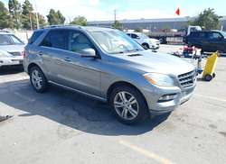 2013 Mercedes-Benz ML 350  