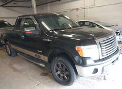 2012 Ford F-150 FX4/Lariat/XL/XLT