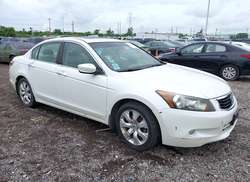 2010 Honda Accord 3.5 EX-L