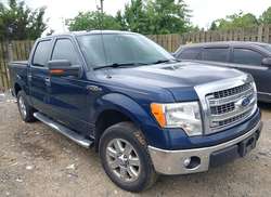 2013 Ford F-150 FX2/King Ranch/Lariat/Platinum/XL/XLT