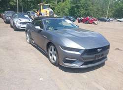 2026 Ford Mustang Ecoboost/Ecoboost Premium