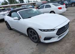2025 Ford Mustang Ecoboost /Ecoboost Premium